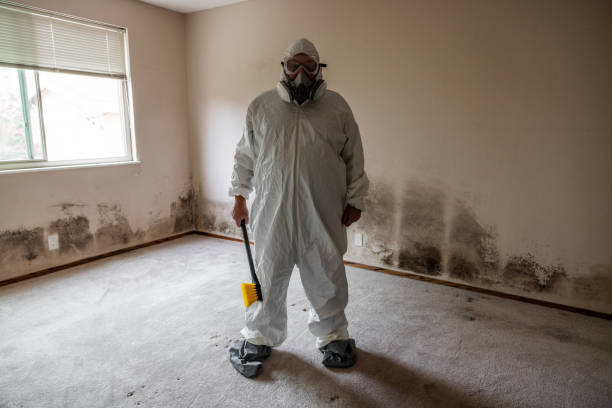 Crawl Space Mold Removal in Mission, TX